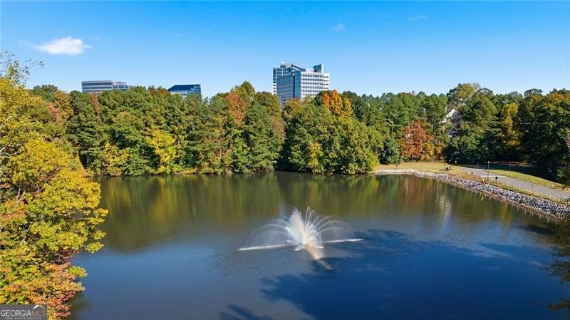 78 Dunwoody Springs Drive Atlanta - 39