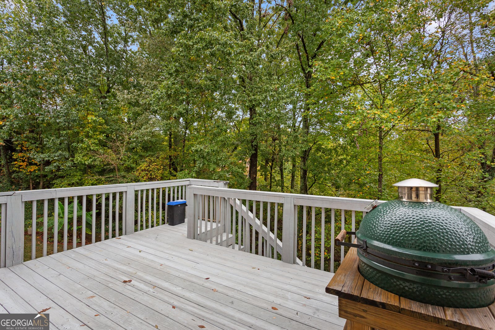 3703 Tynemoore Trace Smyrna - 20