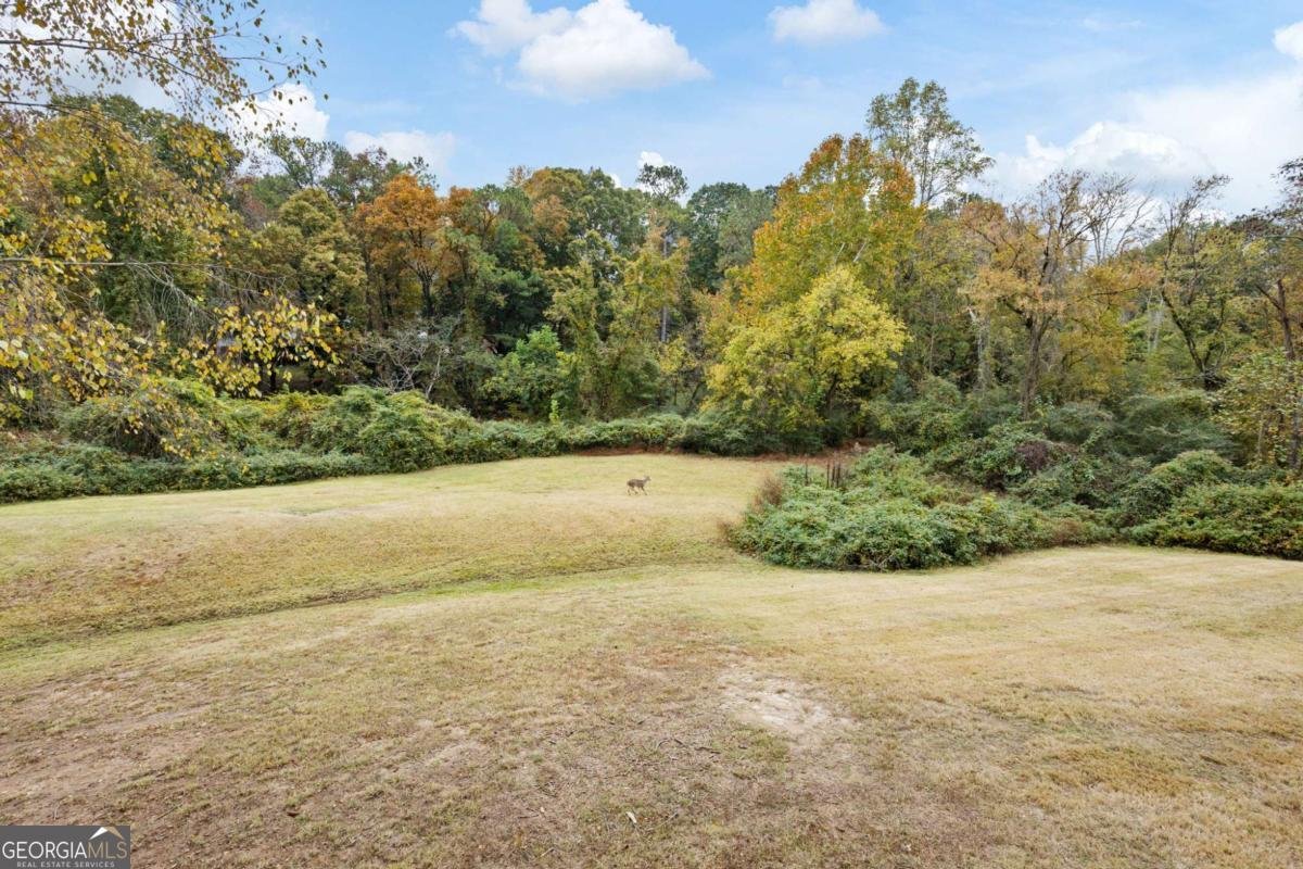 1011 Cannongate Crossing Marietta - 10