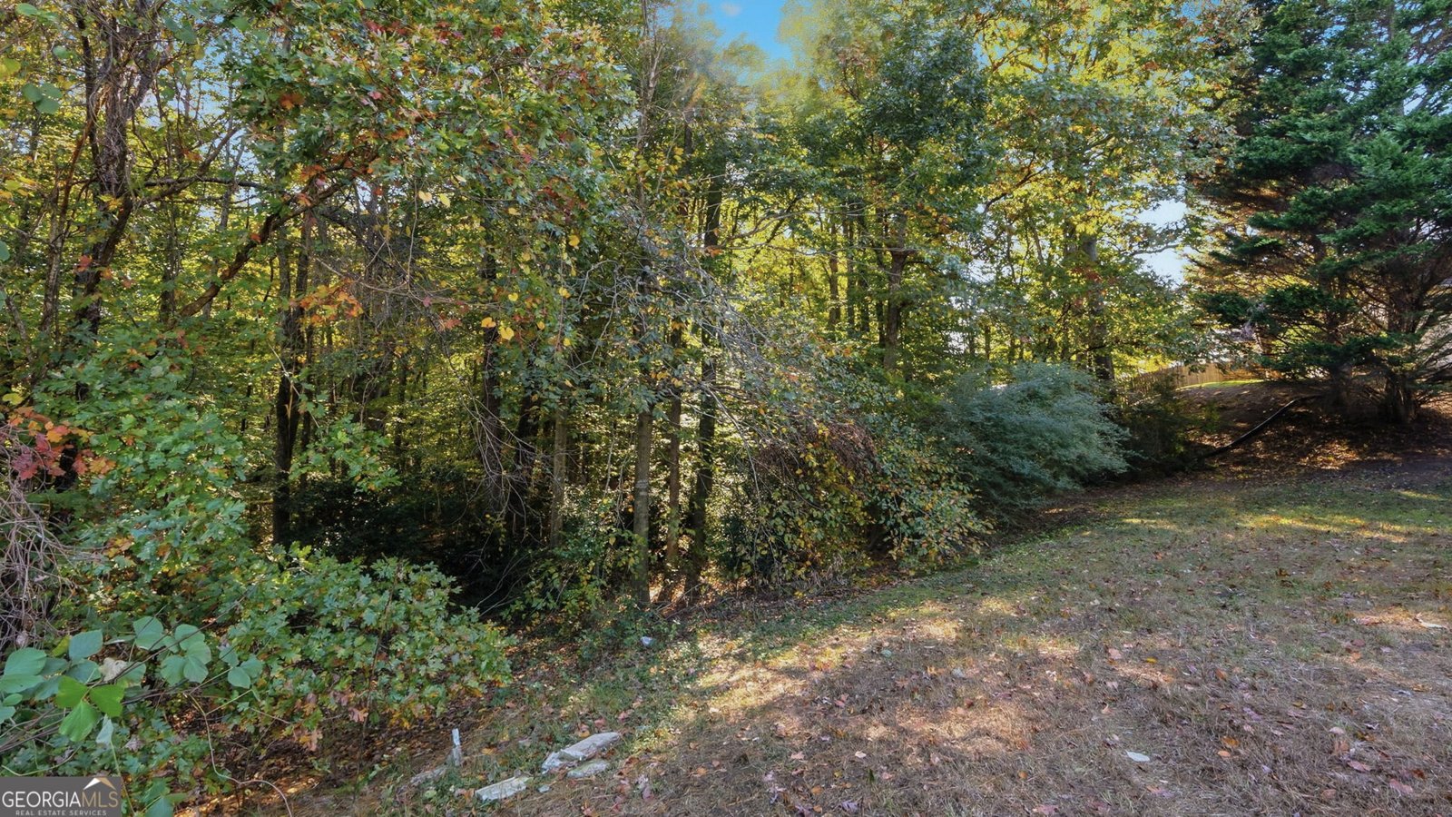 3100 Evergreen Eve Crossing Dacula - 39