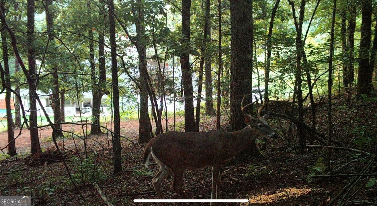 1451 Highway 140 Adairsville - 42