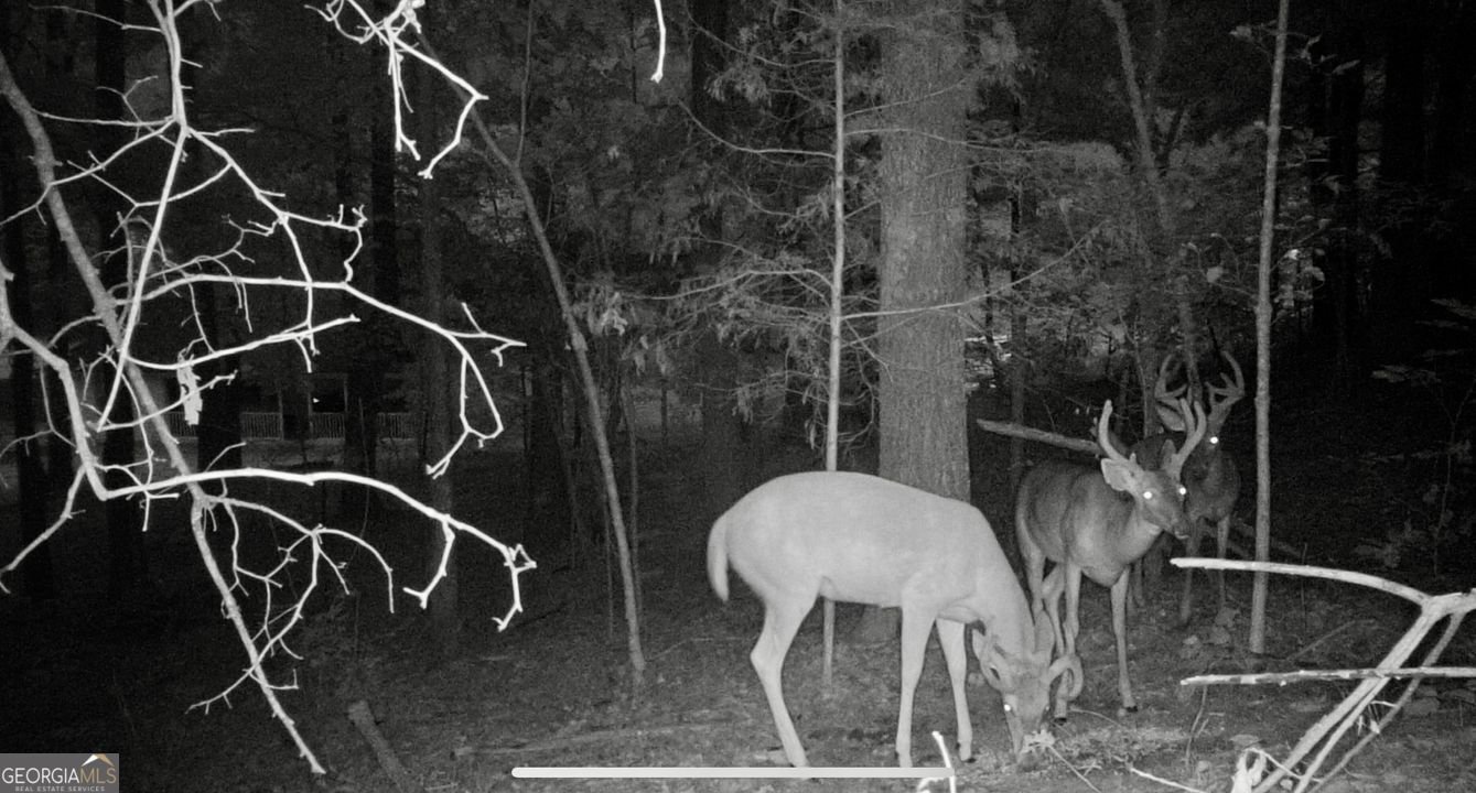 1451 Highway 140 Adairsville - 43