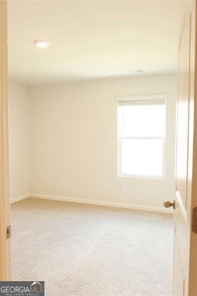 8816 SIBELLA Court Lithia Springs - 18