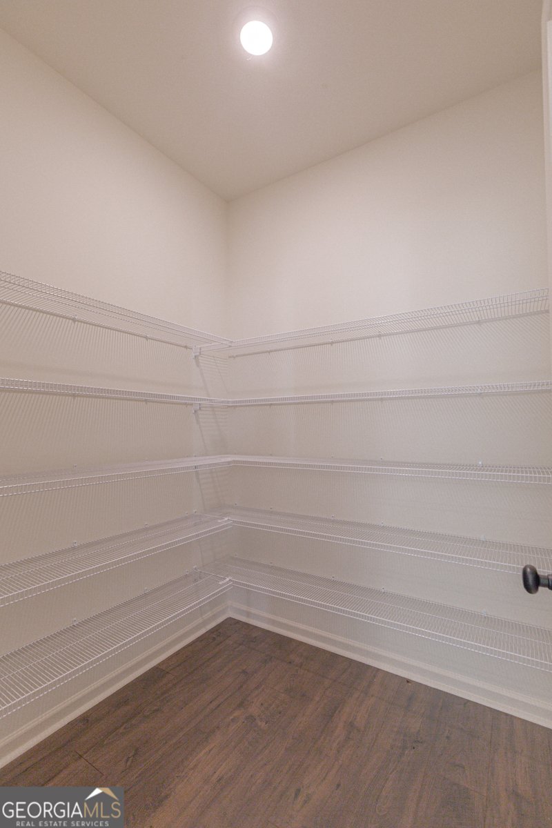 316 Hammerstone Court Senoia - 19