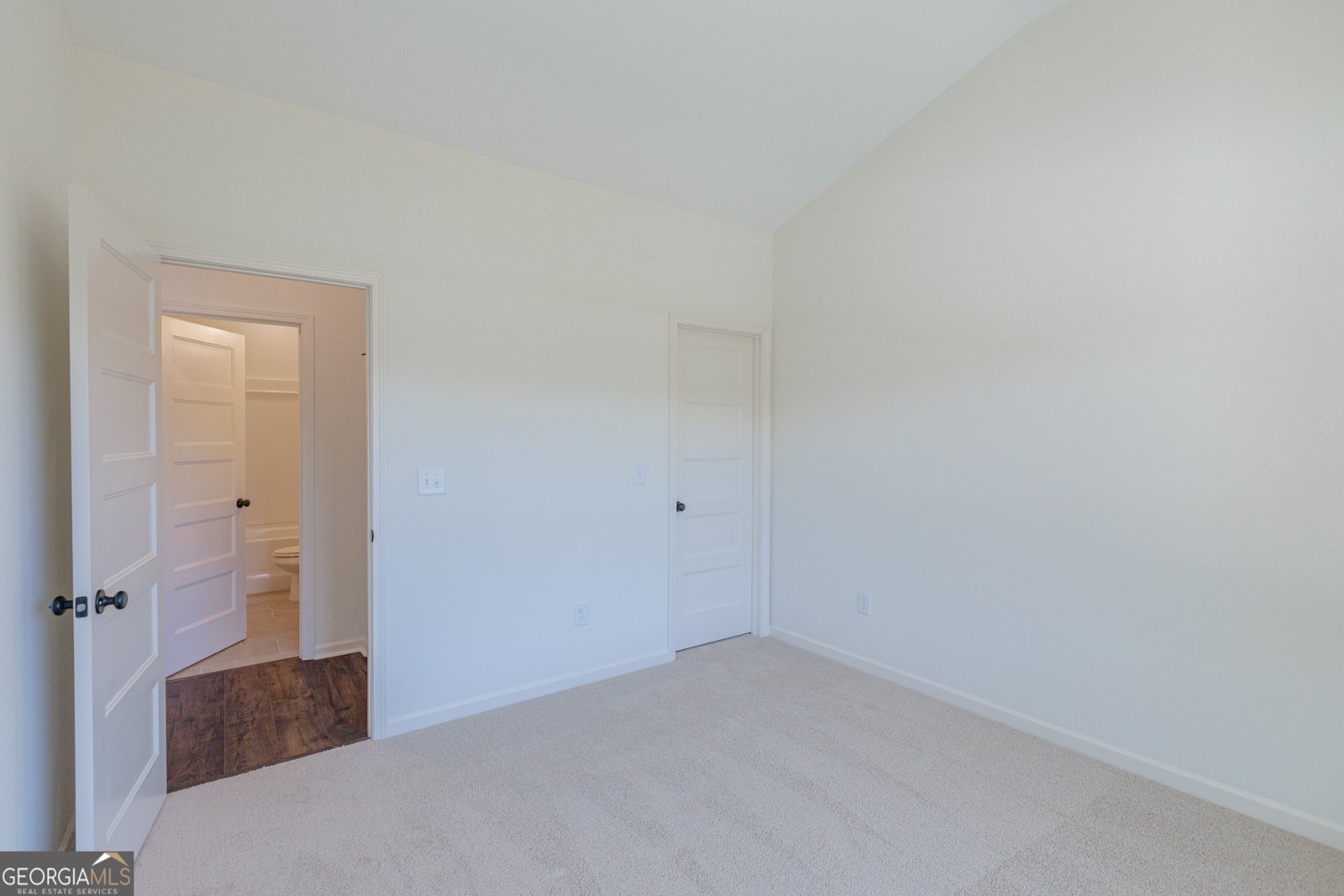 316 Hammerstone Court Senoia - 9