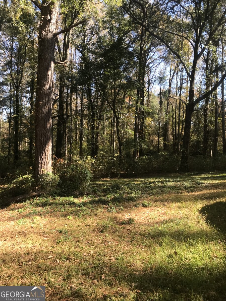 12 Briarcliff Road Griffin - 7