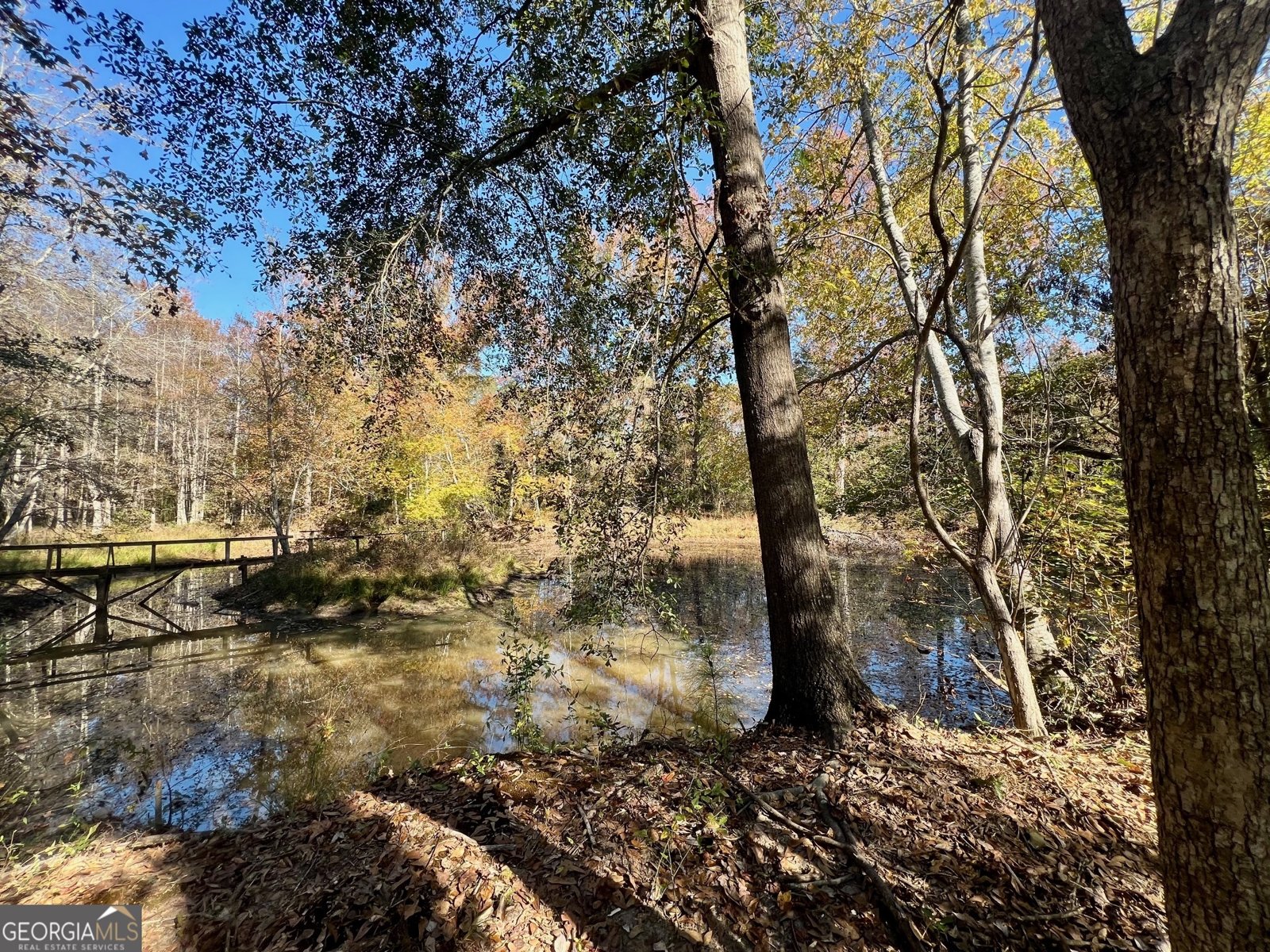 3195 Henderson Grove Road Sandersville - 22