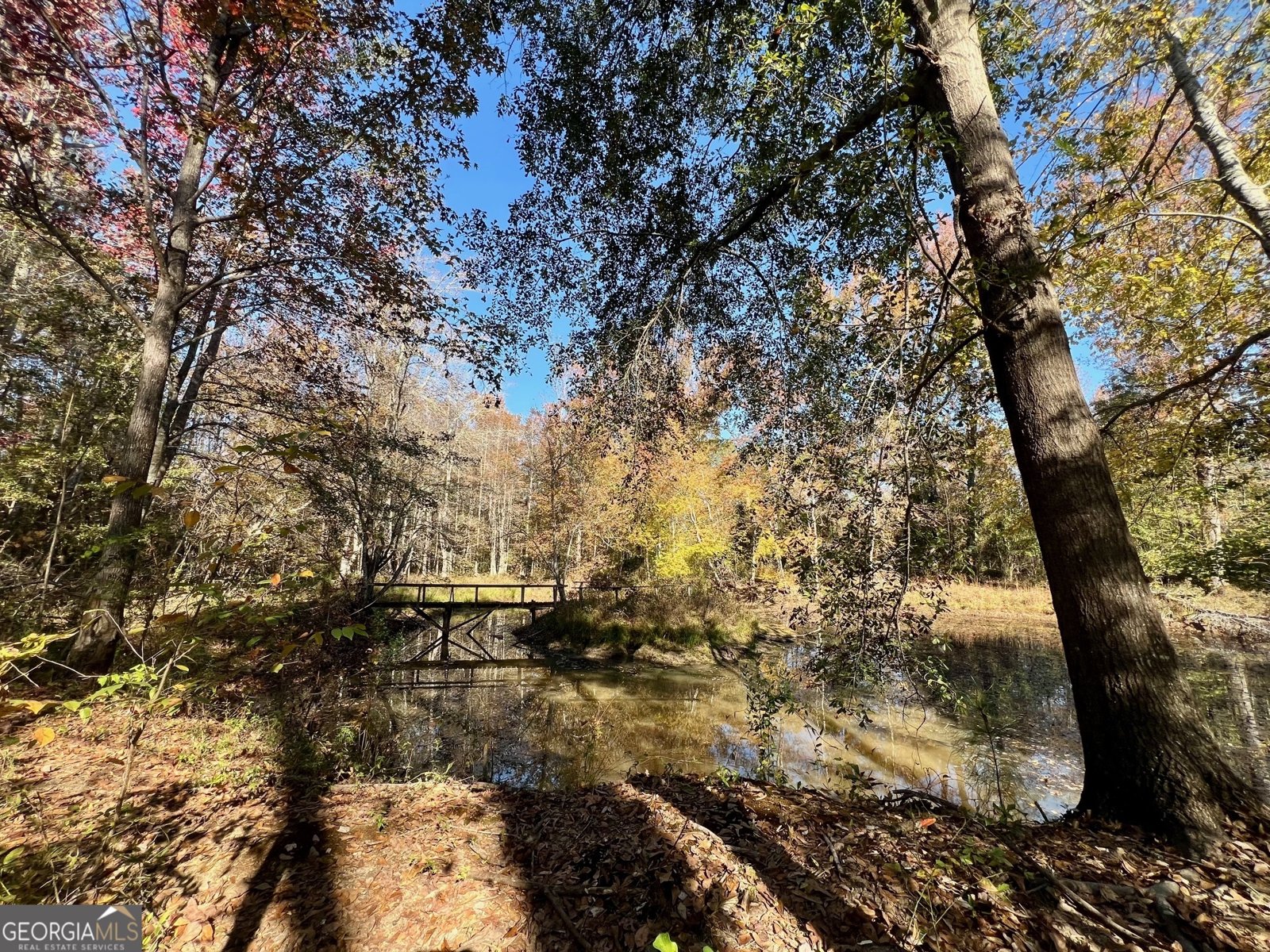 3195 Henderson Grove Road Sandersville - 23