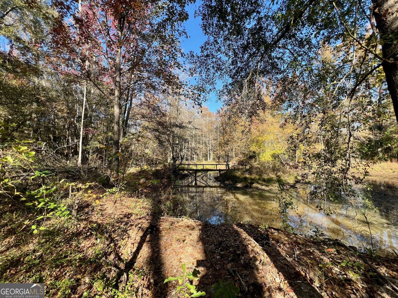 3195 Henderson Grove Road Sandersville - Photo 29
