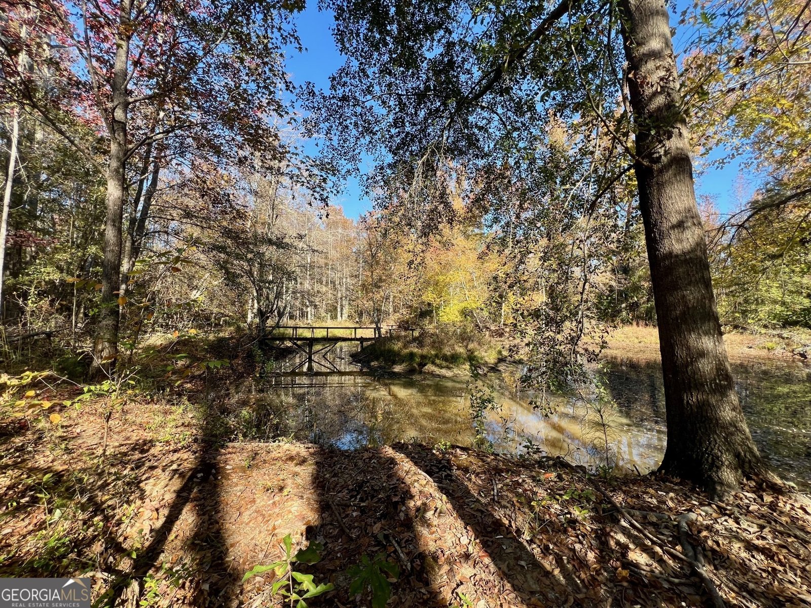 3195 Henderson Grove Road Sandersville - Photo 39