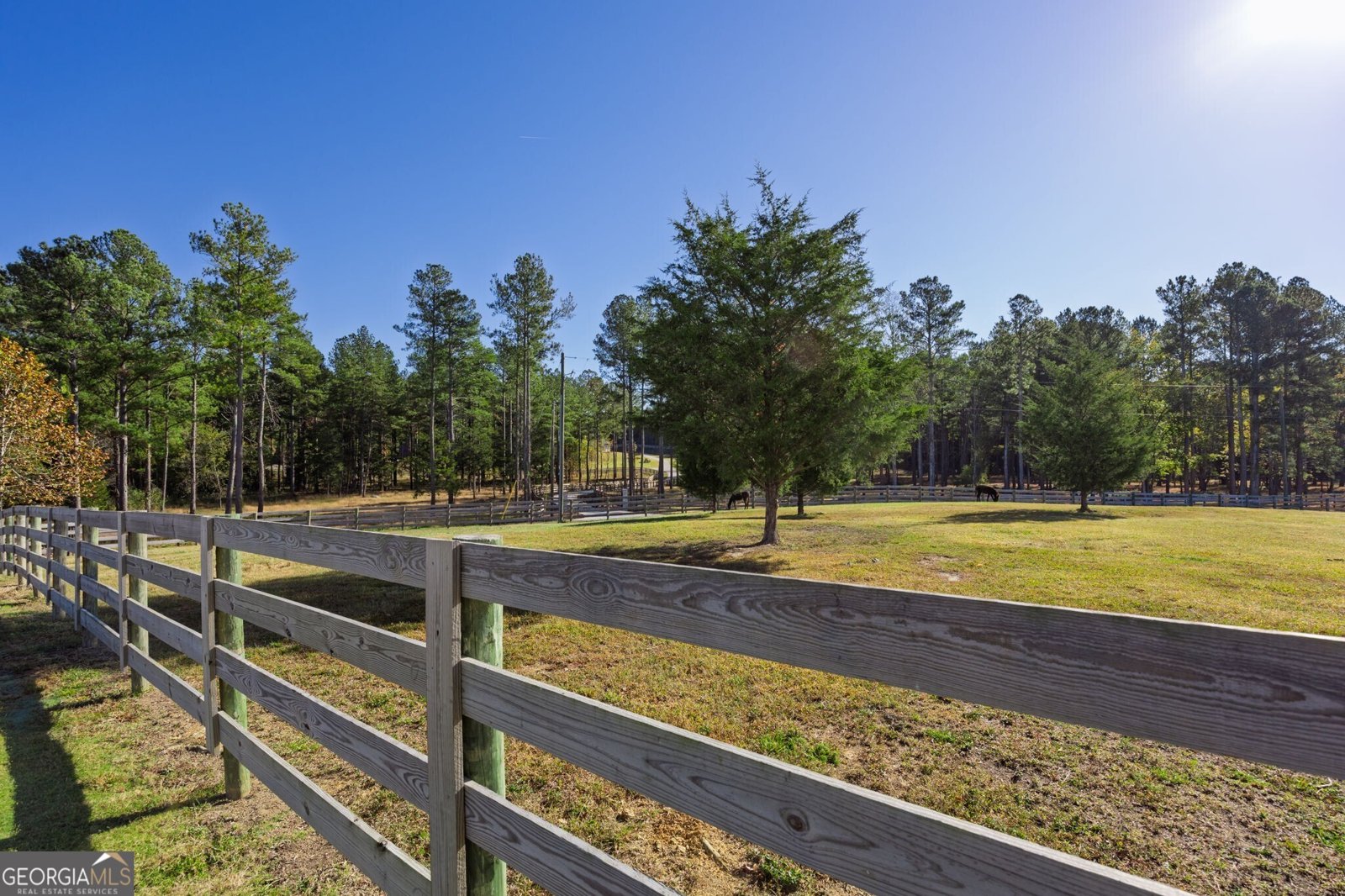 125 Perry Road Rydal - 71