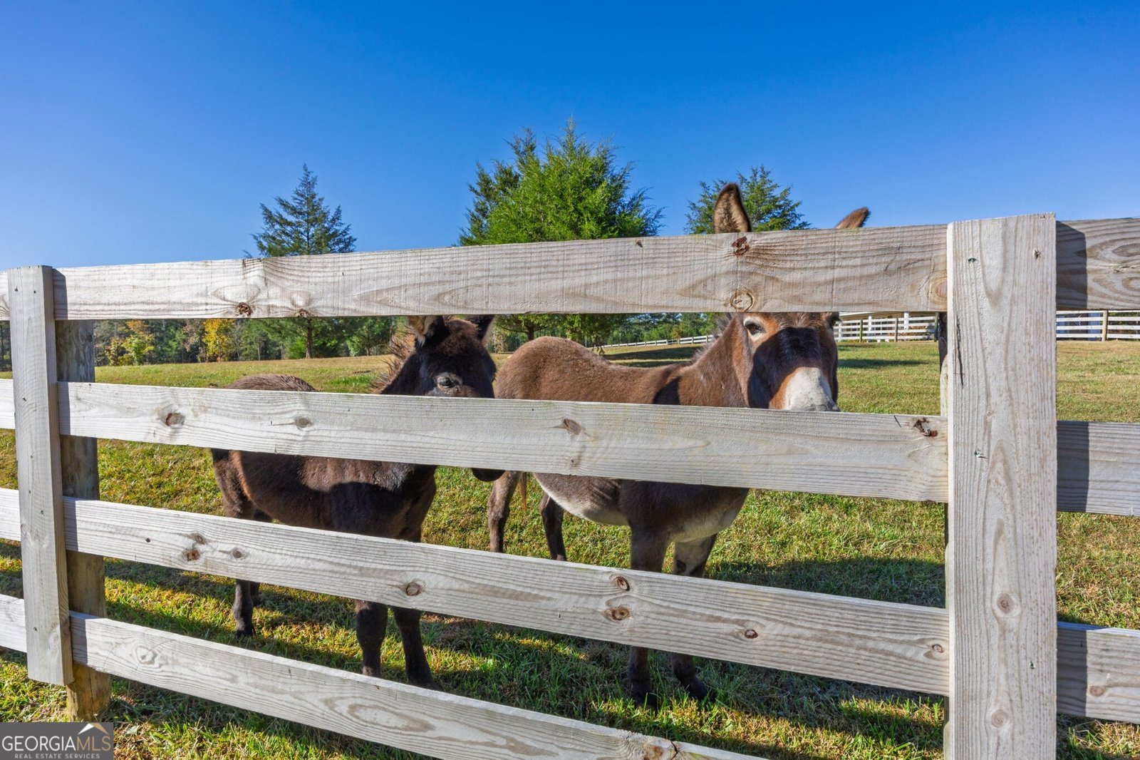 125 Perry Road Rydal - 97