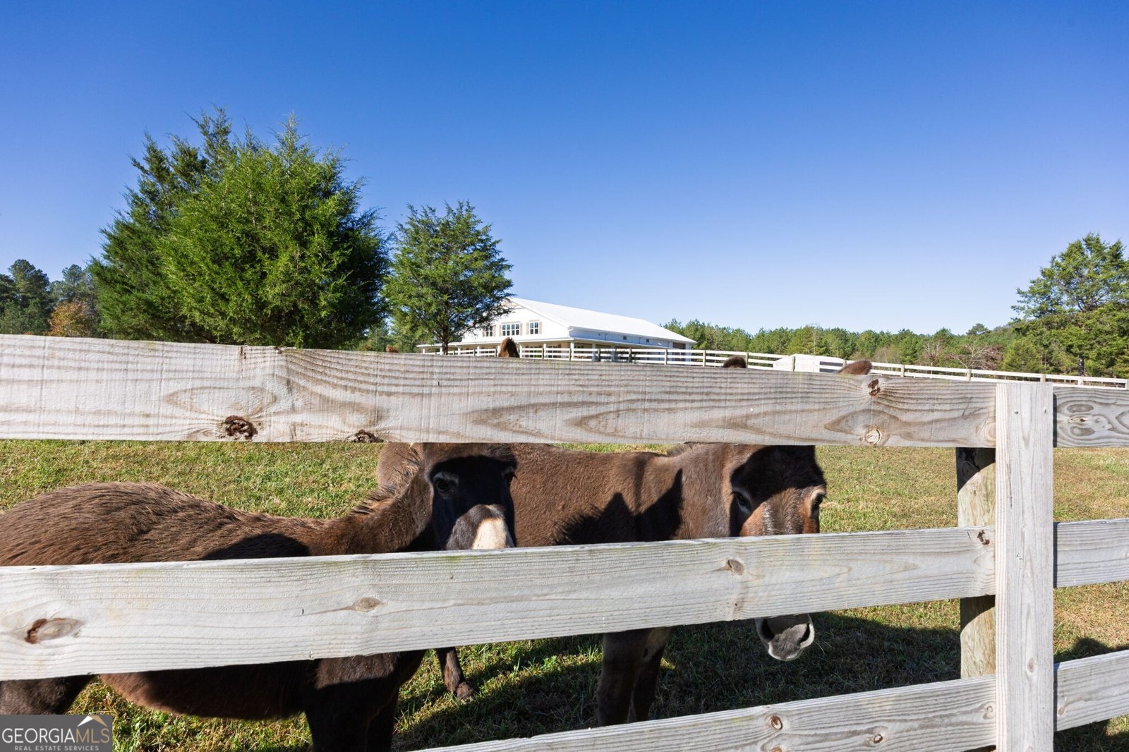 125 Perry Road Rydal - 98