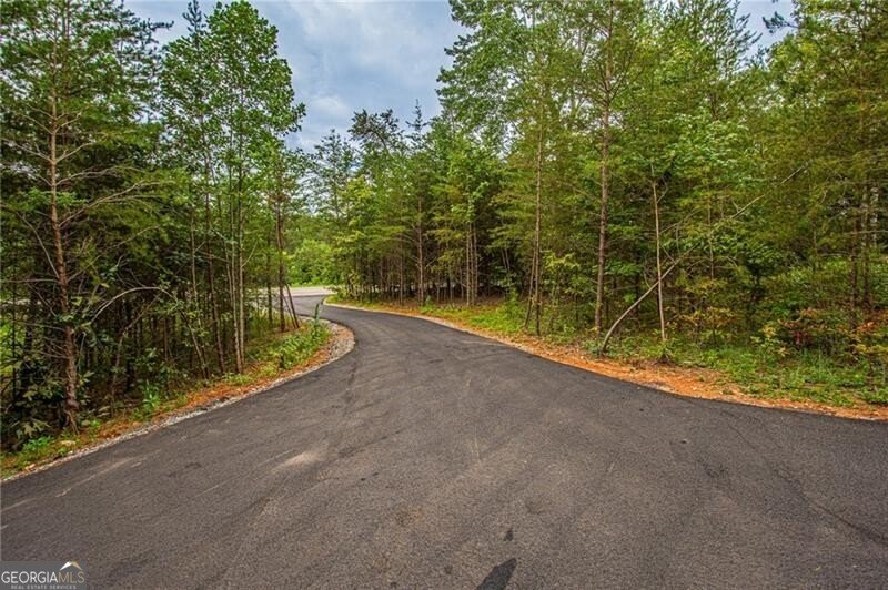 2717 Damascus Church Road Dahlonega - 14