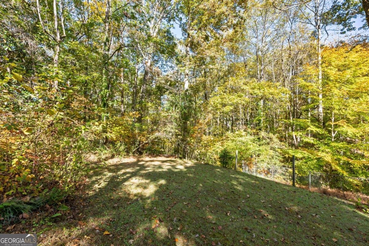 3421 Mill Stream Lane Marietta - 38