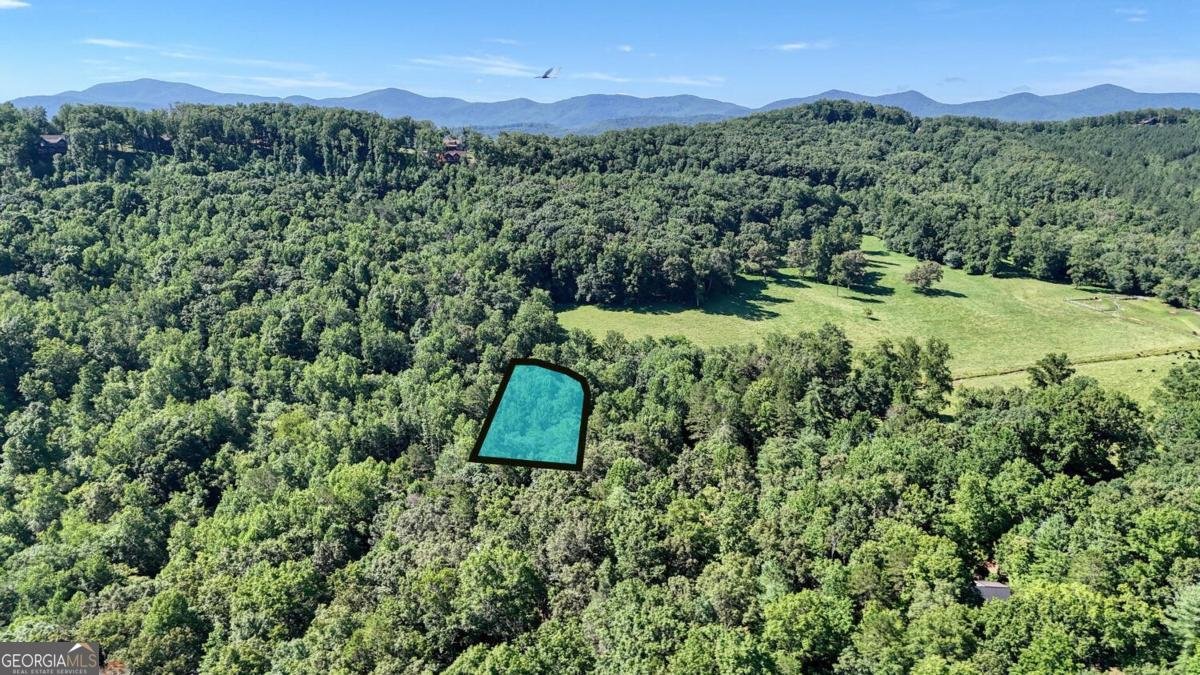 299 Craig Thompson Drive Blairsville - 41