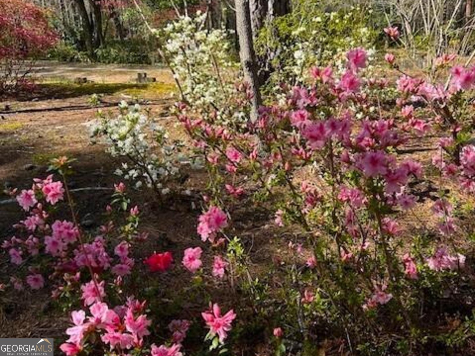 85 Holly Lane Woodbury - 2