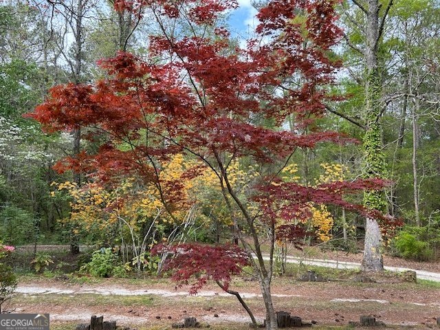 85 Holly Lane Woodbury - 26