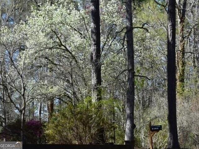 85 Holly Lane Woodbury - 3