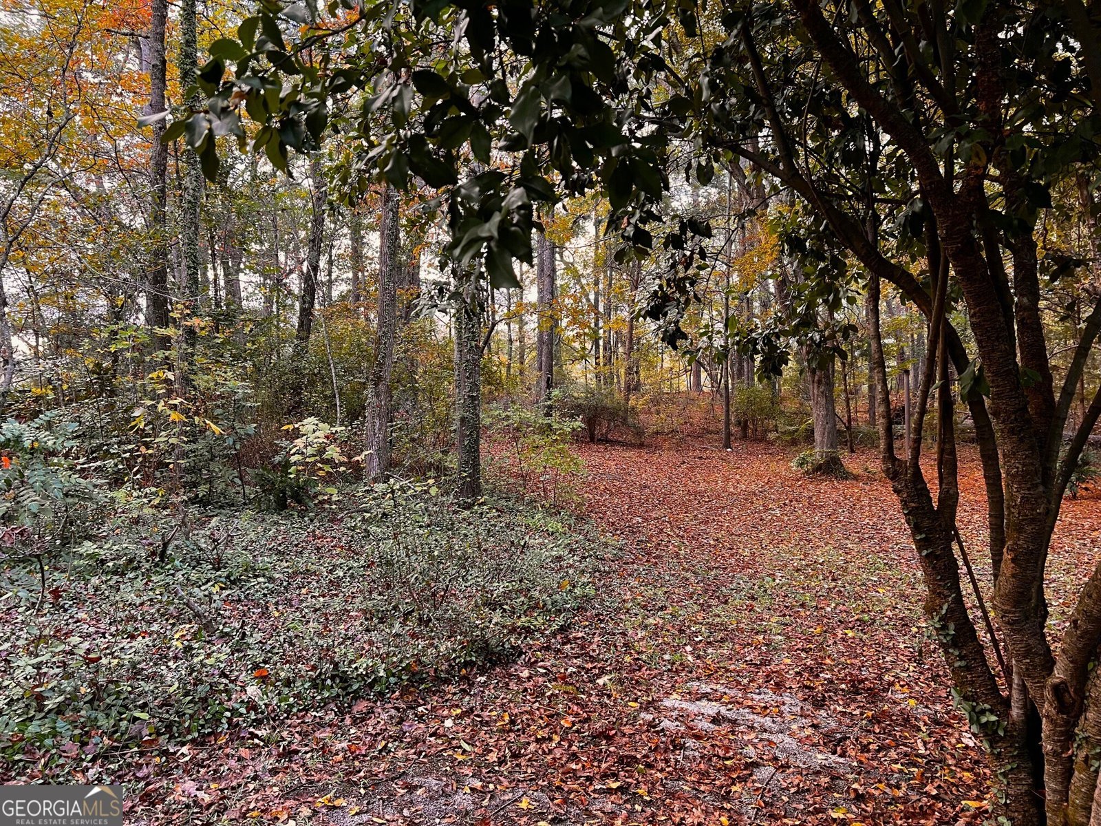 85 Holly Lane Woodbury - 30