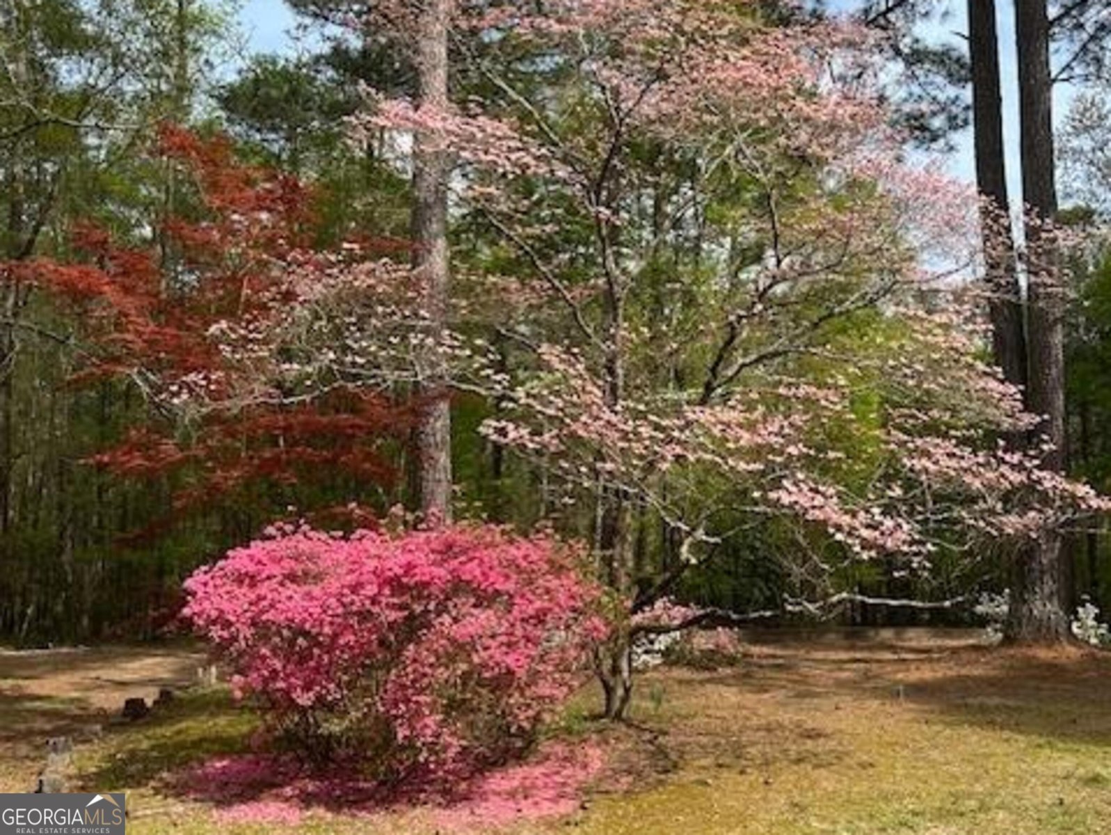 85 Holly Lane Woodbury - 33