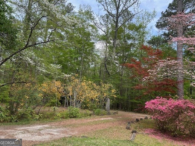 85 Holly Lane Woodbury - 34