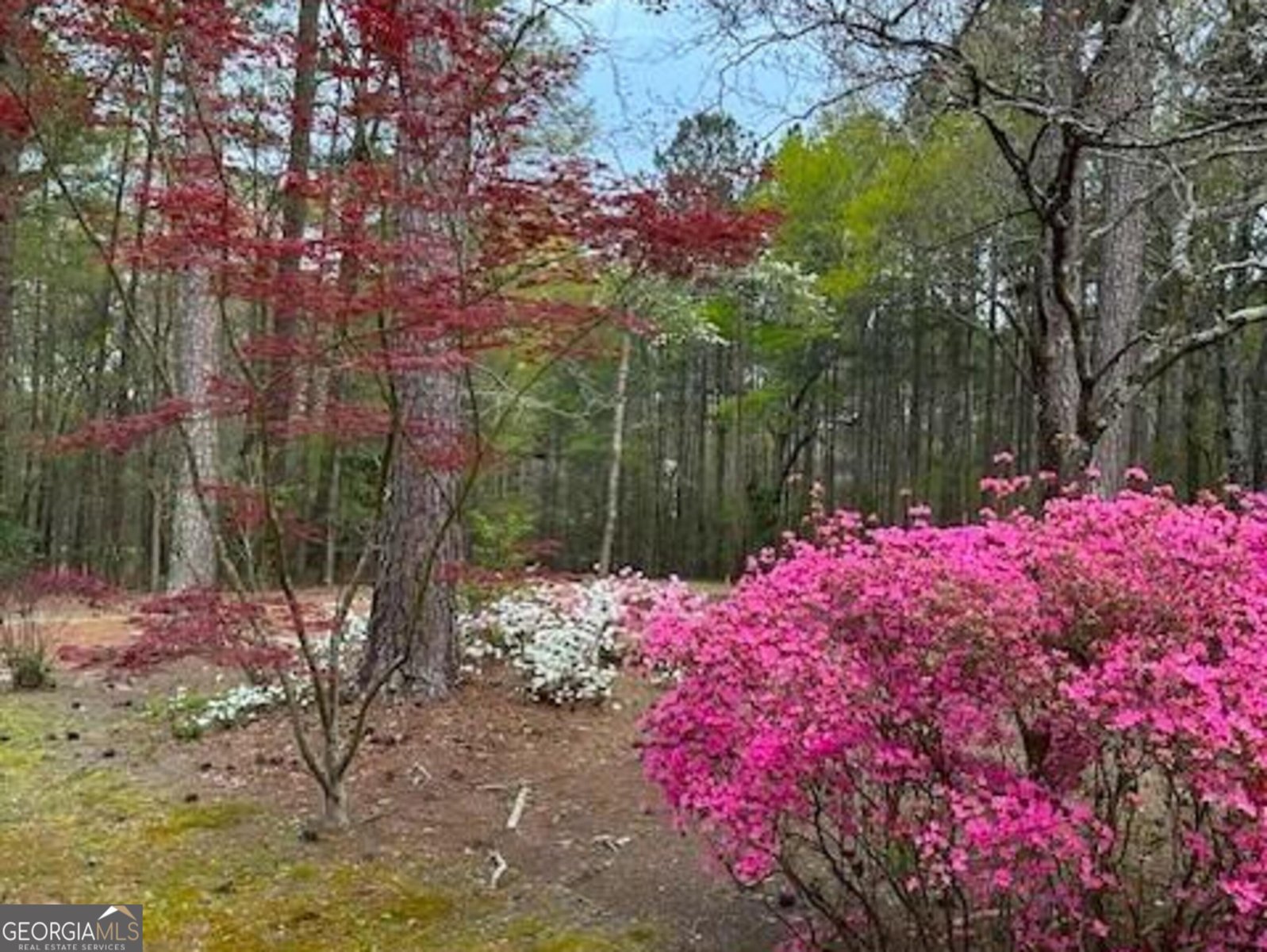 85 Holly Lane Woodbury - 36