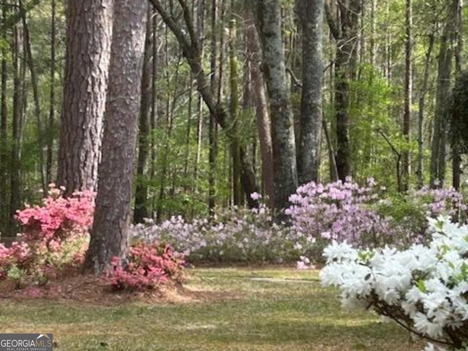 85 Holly Lane Woodbury - 37