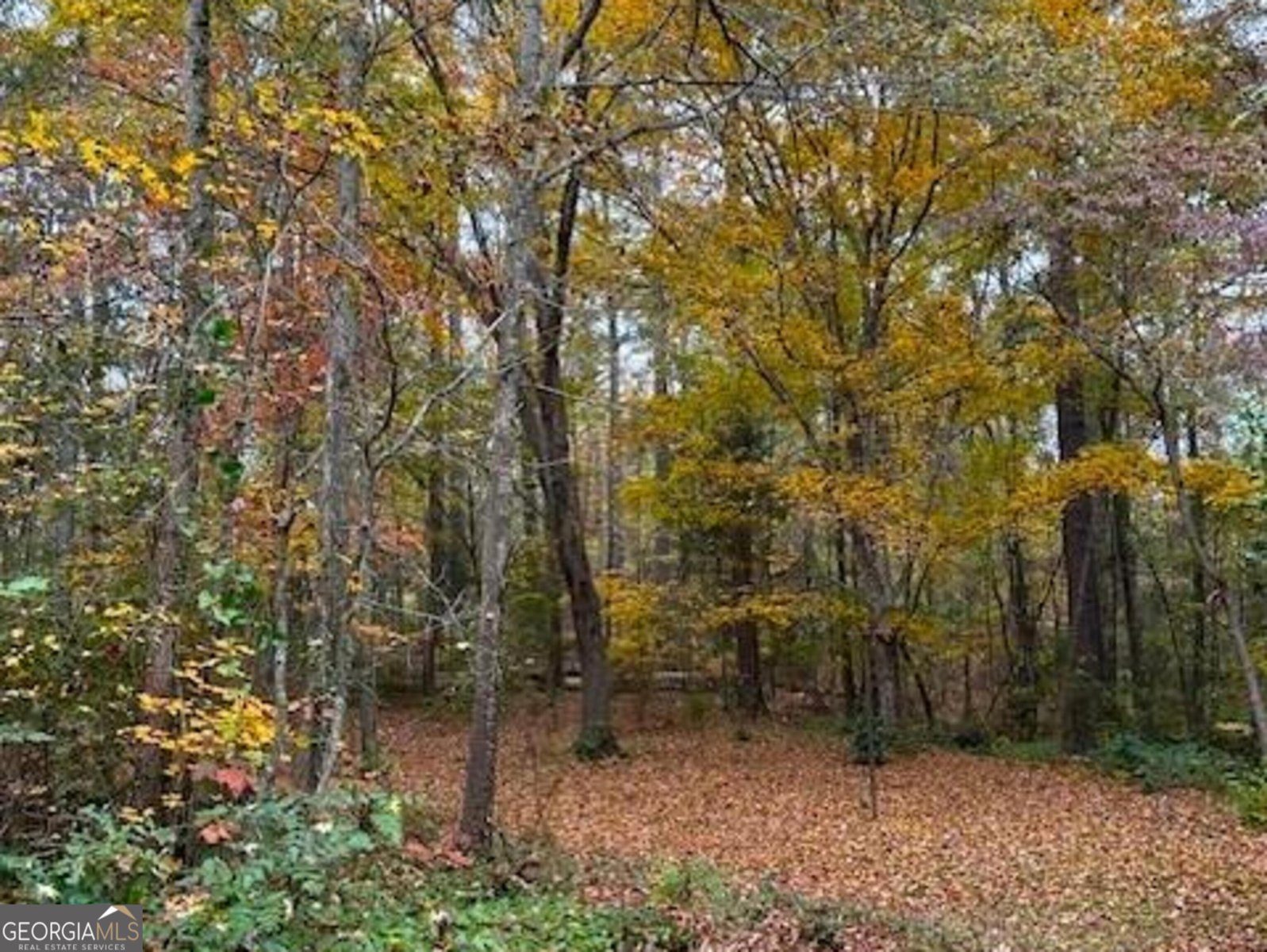 85 Holly Lane Woodbury - 4