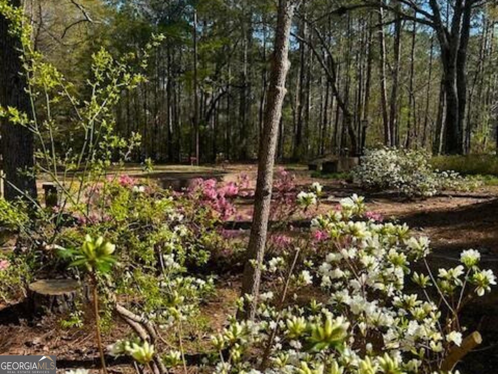 85 Holly Lane Woodbury - 40