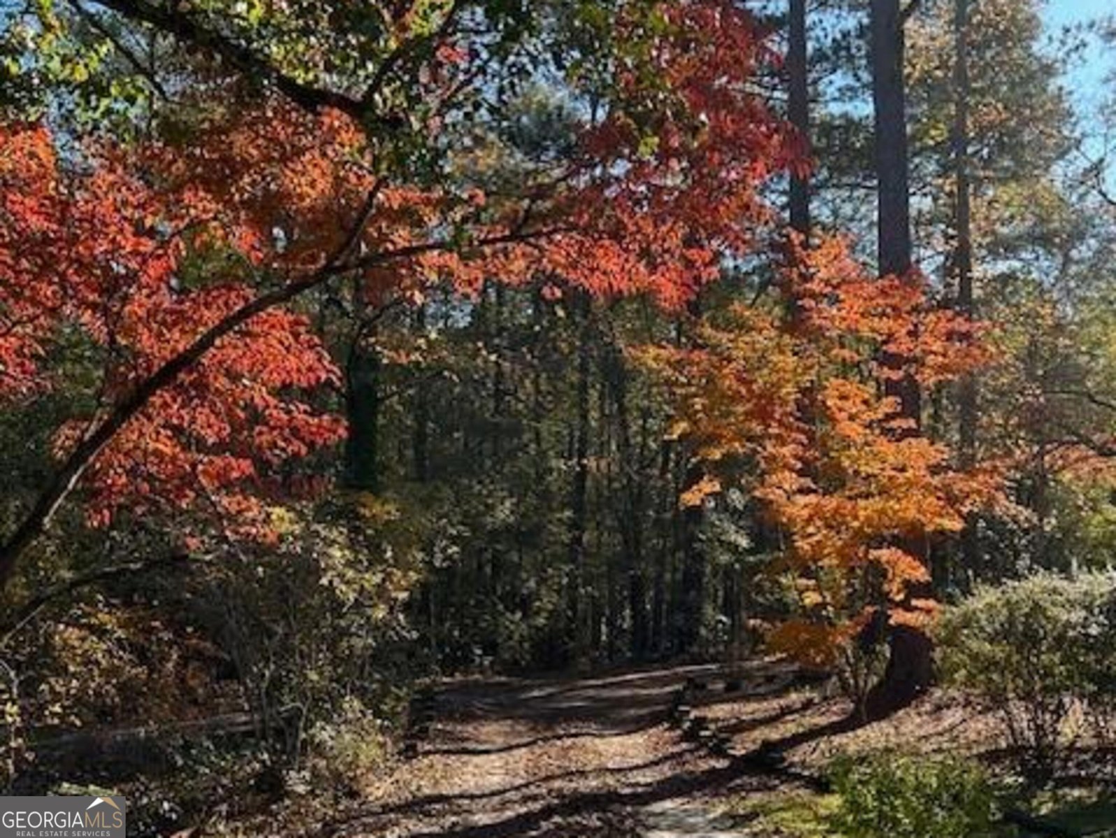 85 Holly Lane Woodbury - 5