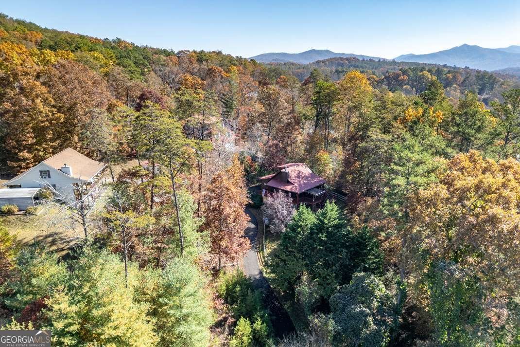 2561 Rustic Ridge Trail Young Harris - 31