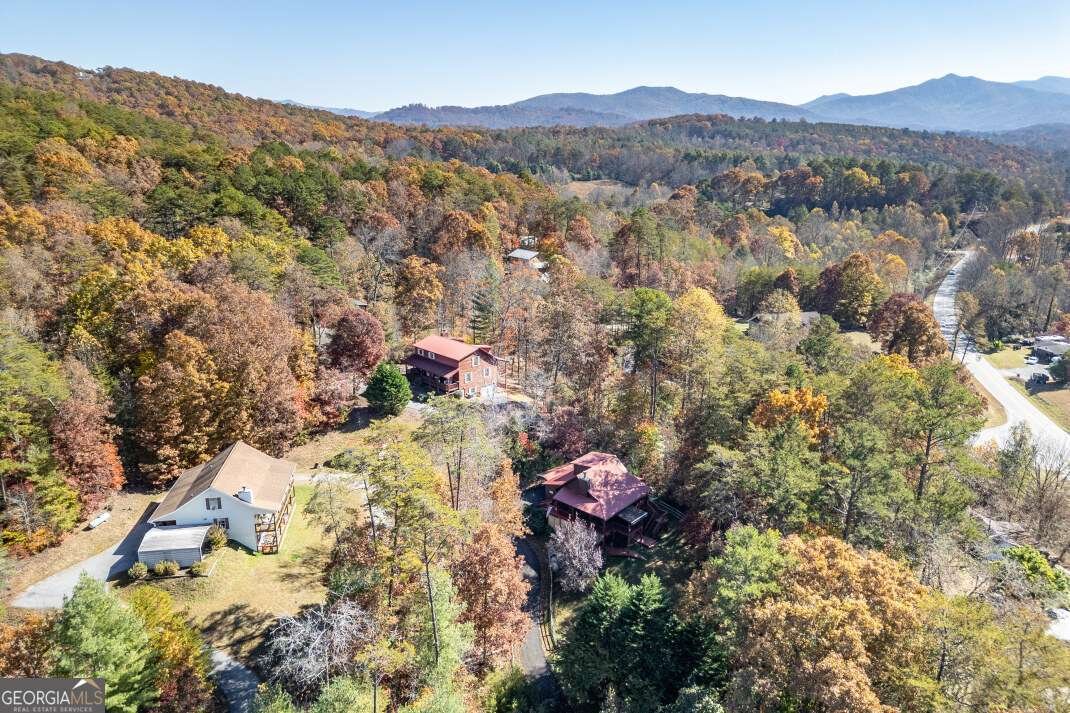 2561 Rustic Ridge Trail Young Harris - 32