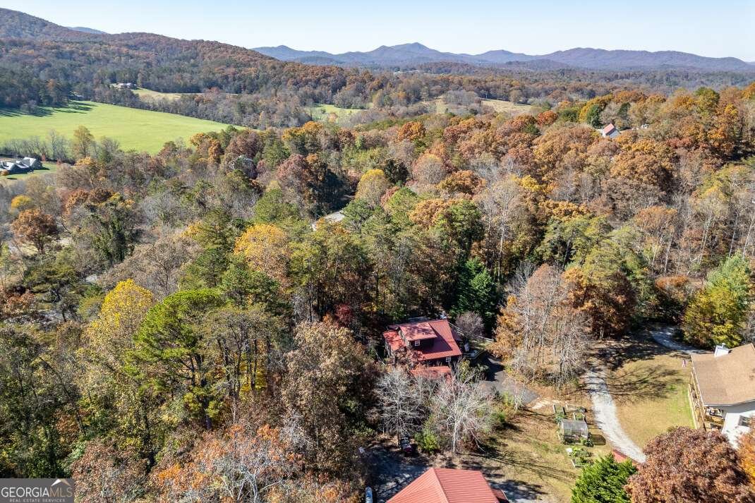 2561 Rustic Ridge Trail Young Harris - 35