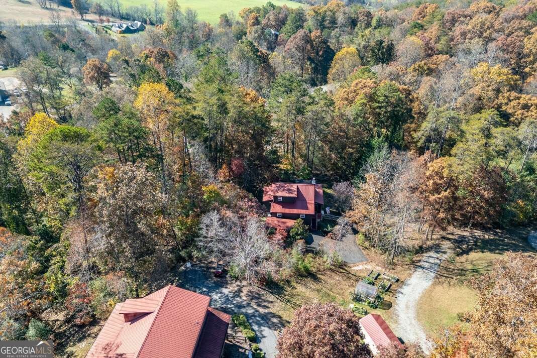 2561 Rustic Ridge Trail Young Harris - 36