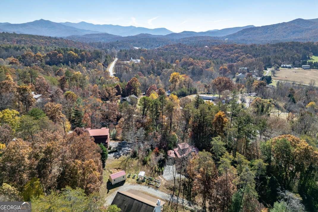 2561 Rustic Ridge Trail Young Harris - 39