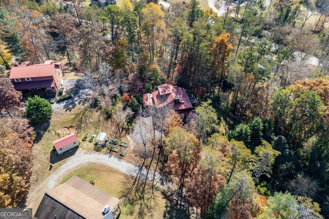 2561 Rustic Ridge Trail Young Harris - 40