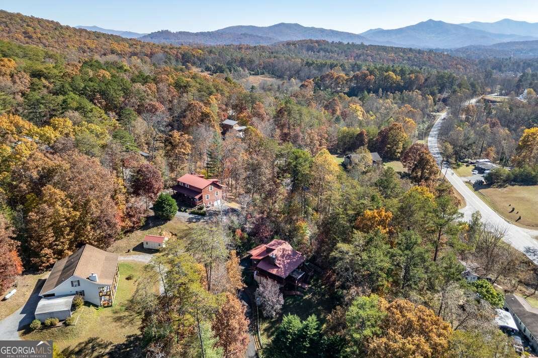 2561 Rustic Ridge Trail Young Harris - 41