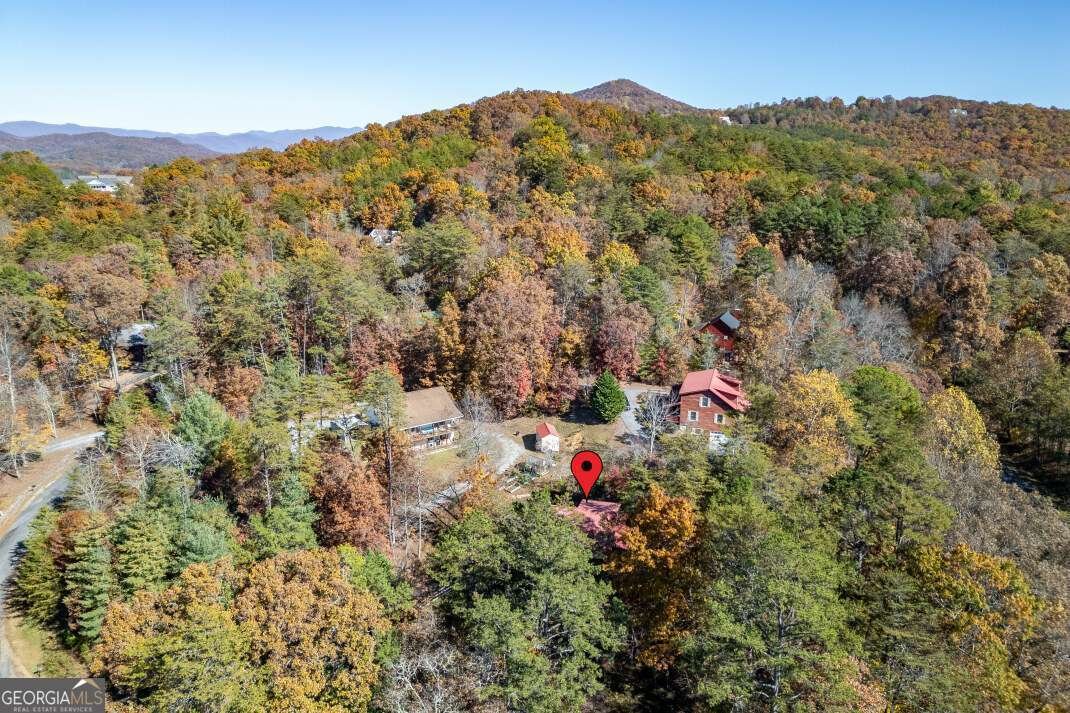 2561 Rustic Ridge Trail Young Harris - 60