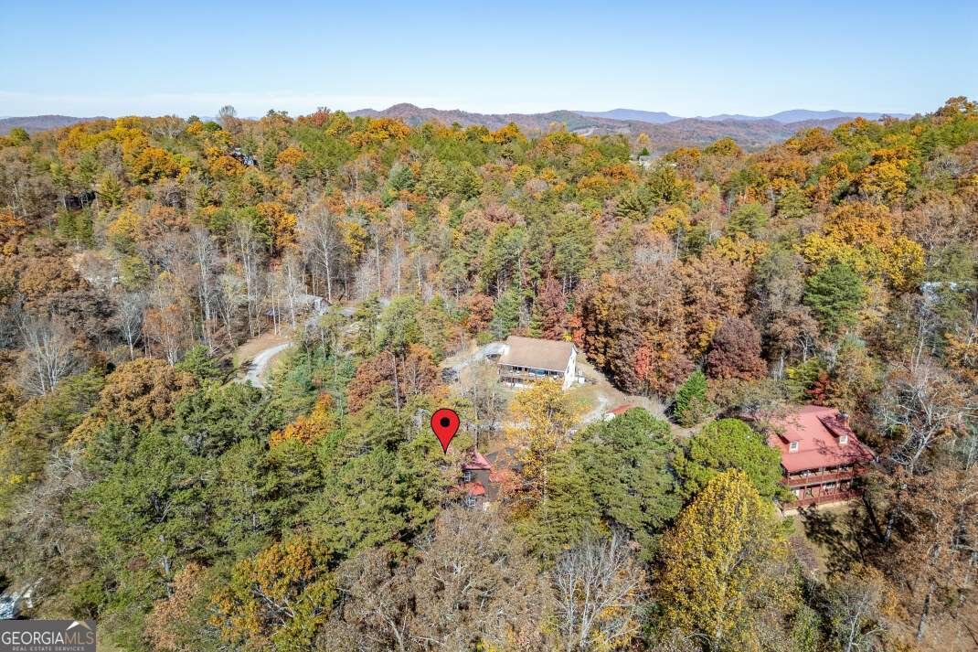 2561 Rustic Ridge Trail Young Harris - 61