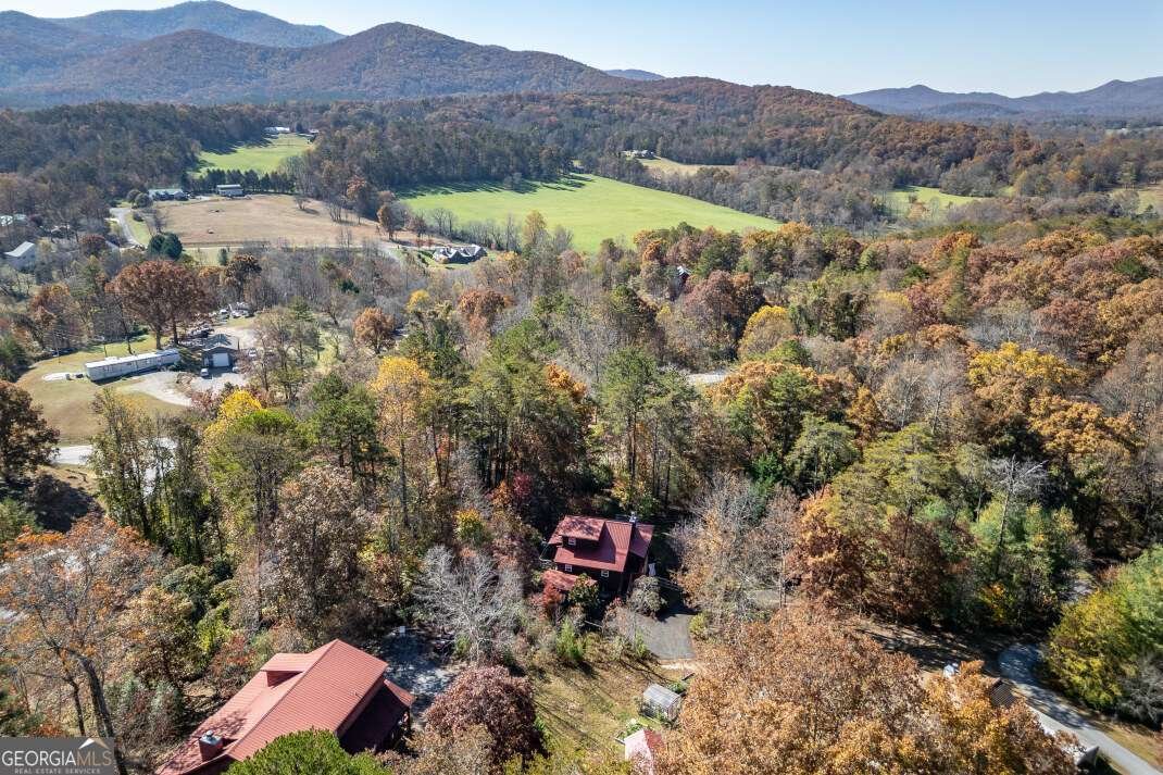 2561 Rustic Ridge Trail Young Harris - 64