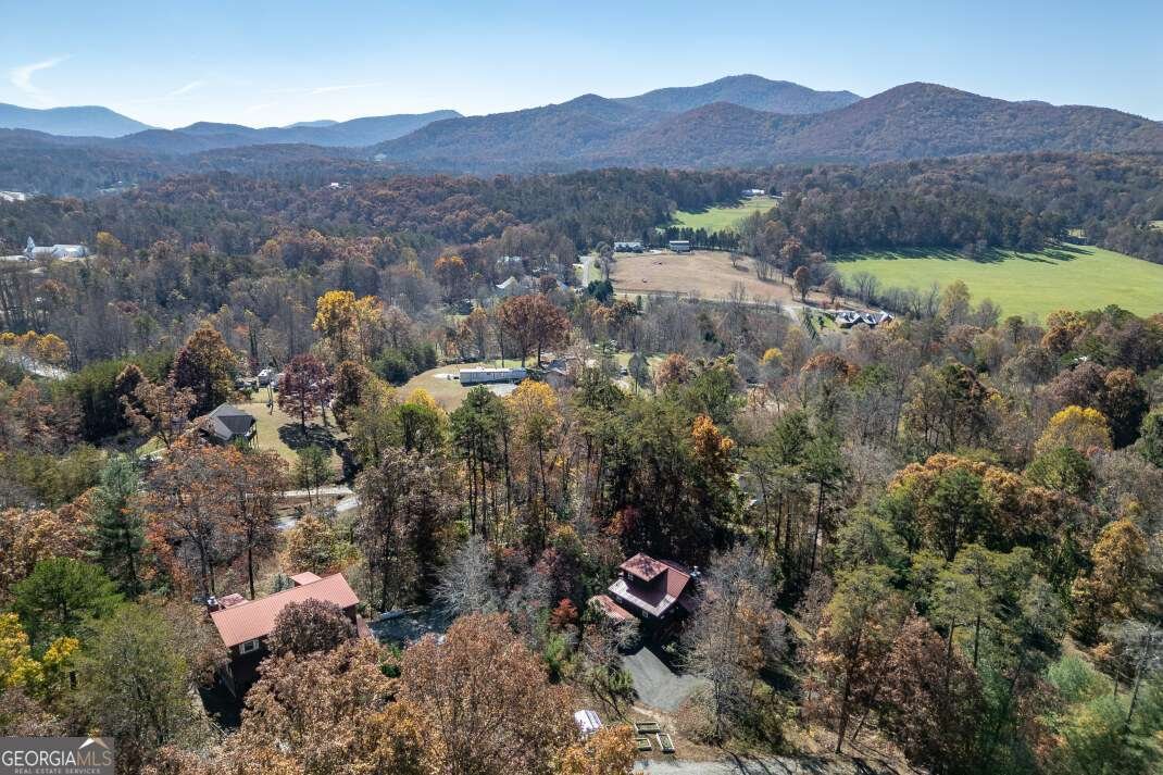 2561 Rustic Ridge Trail Young Harris - 65