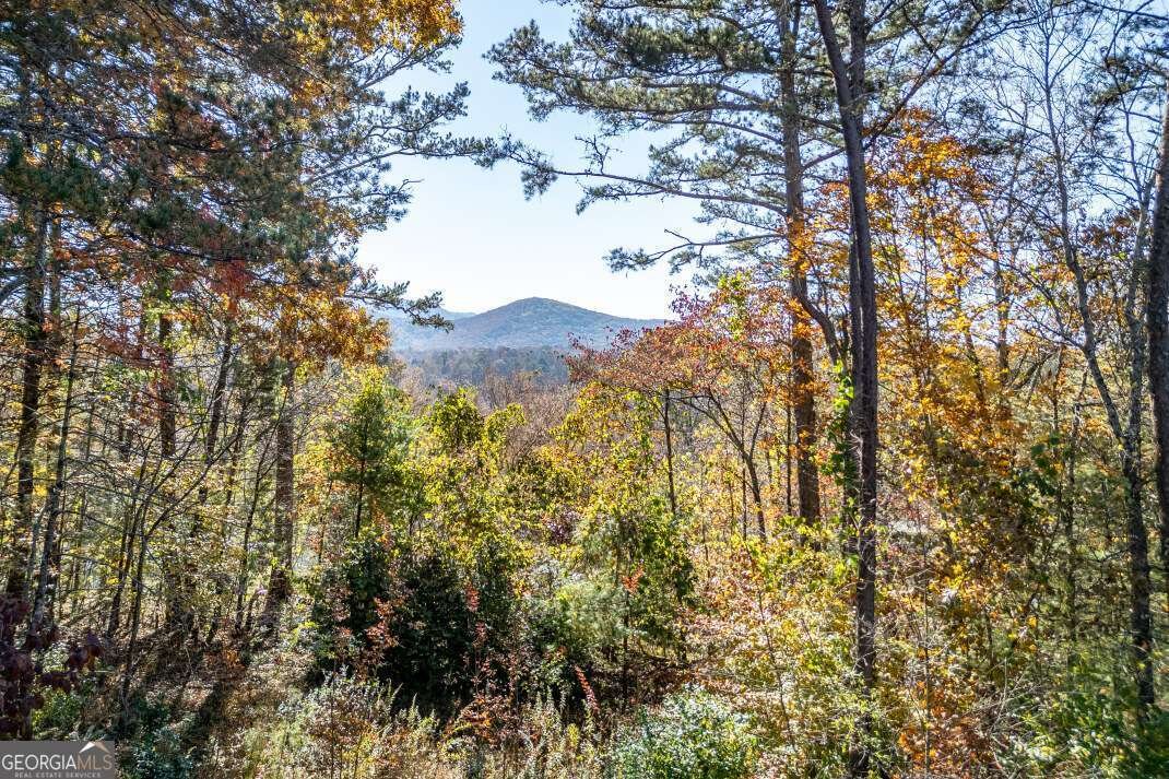 2561 Rustic Ridge Trail Young Harris - 81