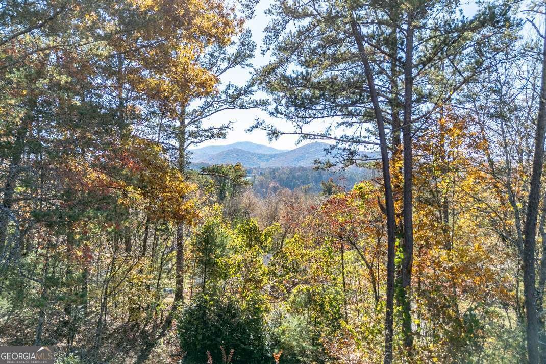 2561 Rustic Ridge Trail Young Harris - 82