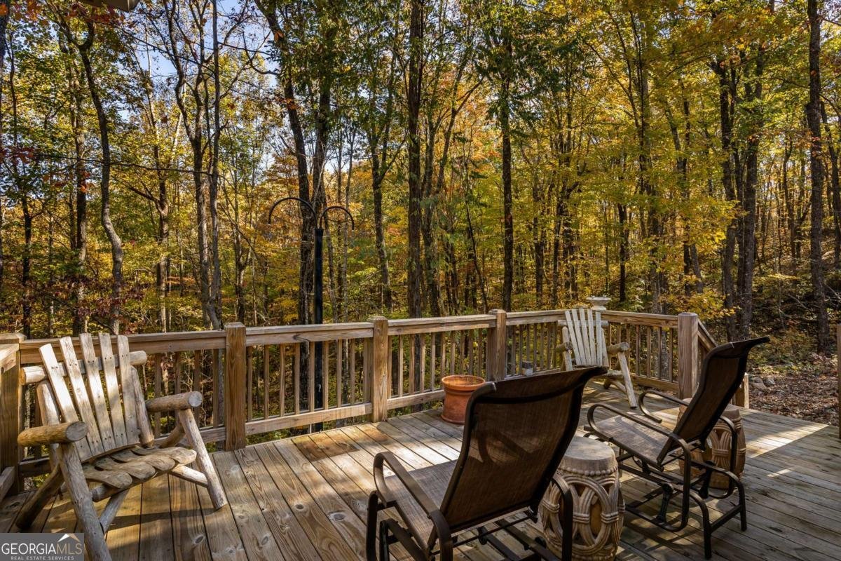 597 Trailwood Drive Ellijay - 16