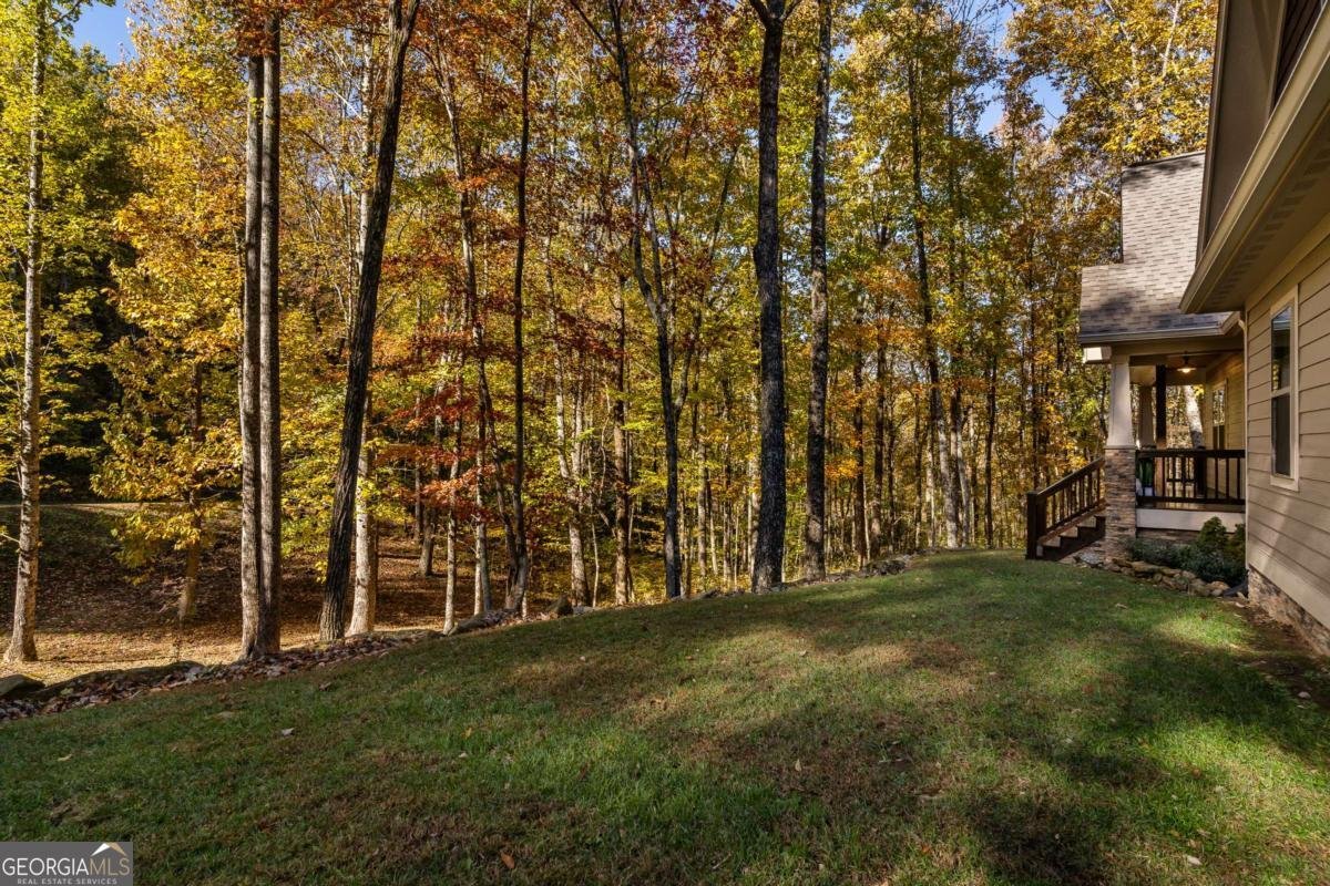 597 Trailwood Drive Ellijay - 18