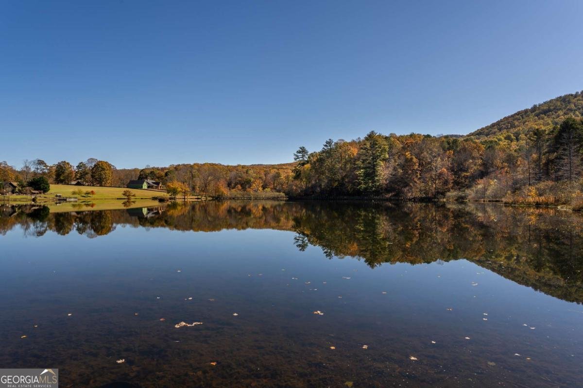 597 Trailwood Drive Ellijay - 22