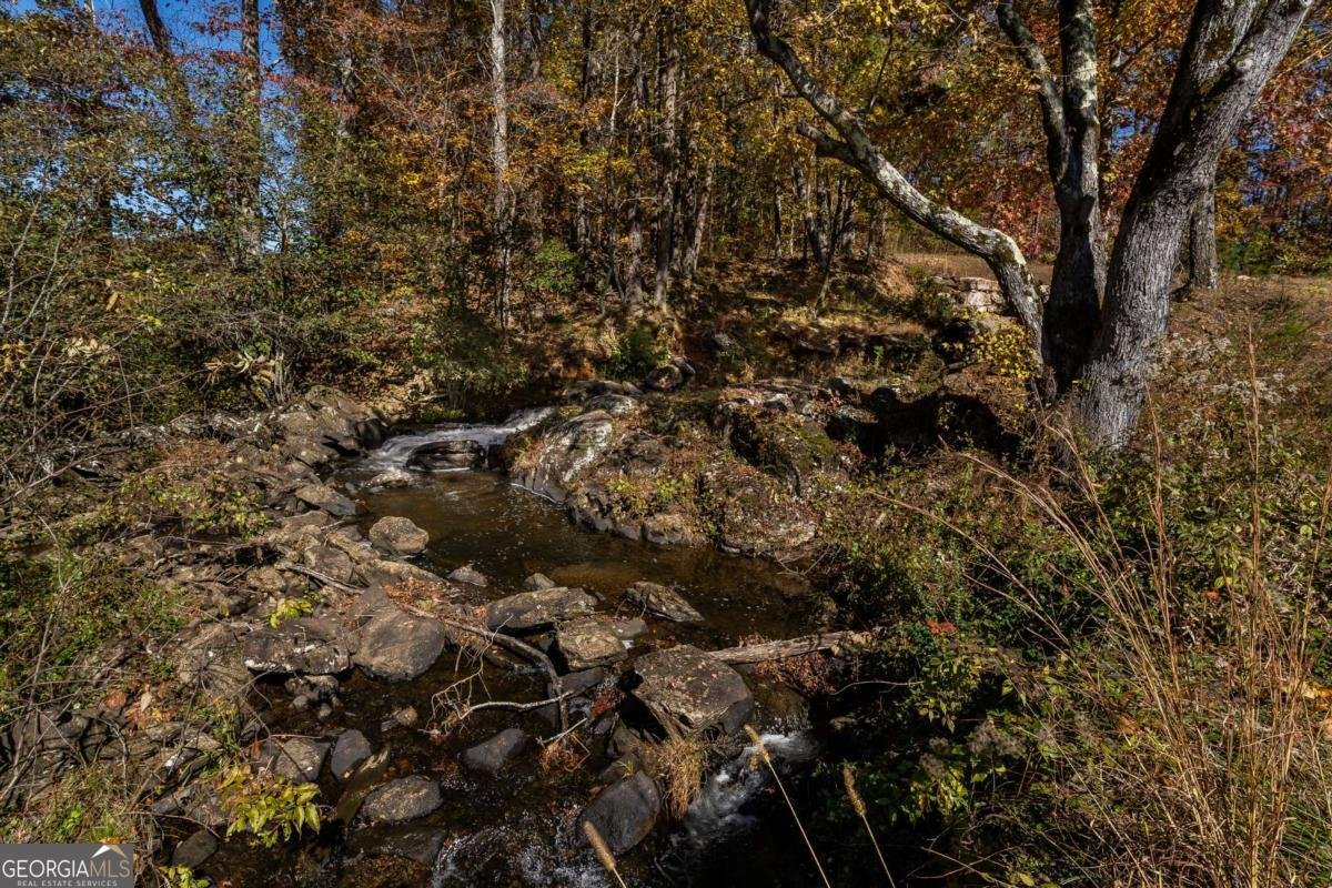 597 Trailwood Drive Ellijay - 24