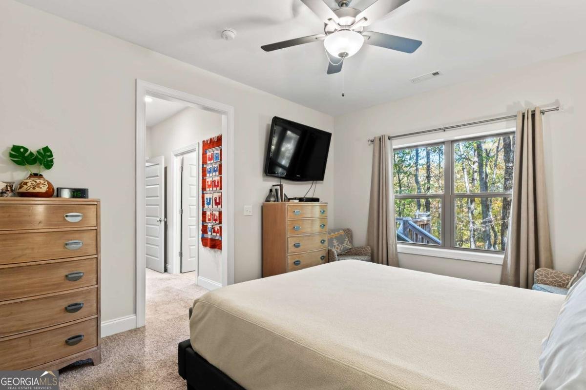 597 Trailwood Drive Ellijay - 47