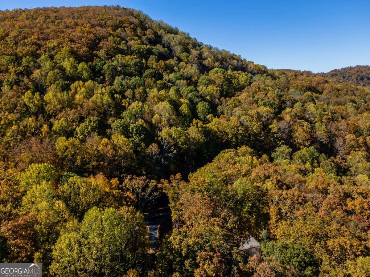 597 Trailwood Drive Ellijay - 5
